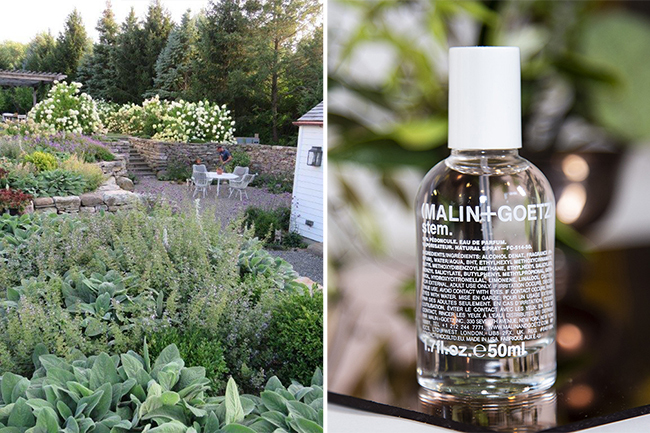 Digging Deeper: The Scent of a Garden—At Home in the Hudson Valley
